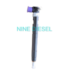 Kia Asli Delphi Common Rail Diesel Injectors 28229873 33800-4A710