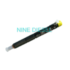EJBR03301D Delphi Diesel Injector, Delphi Untuk JMC Common Rail Injector